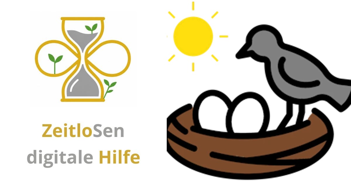 Live-Naturbeobachtung: Tiere online erleben – ZeitloSen