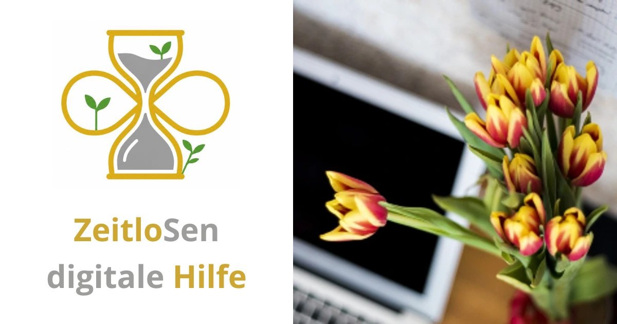 Blumen bequem online bestellen und liefern lassen – ZeitloSen
