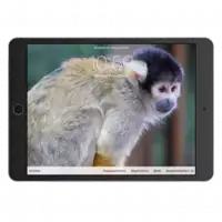 Hintergrundbild auf iPhone und iPad &auml;ndern &ndash; ZeitloSen