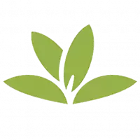 Pflanzen erkennen mit der PlantNet-App &ndash; ZeitloSen