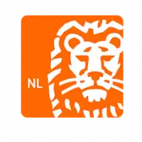 ING App sicher und einfach aktivieren &ndash; ZeitloSen