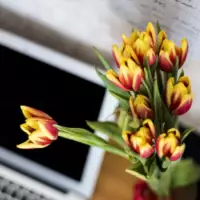 Blumen bequem online bestellen und liefern lassen &ndash; ZeitloSen