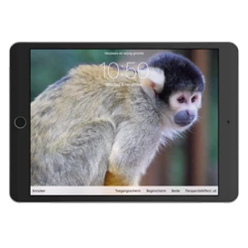 Hintergrundbild auf iPhone und iPad ändern