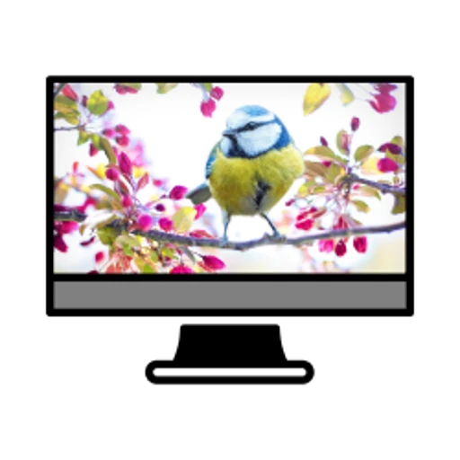 Mac-Hintergrundbild einfach ändern