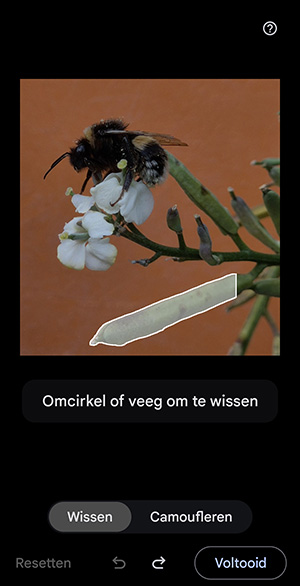 Fotoobjekte mit magischem Radiergummi entfernen