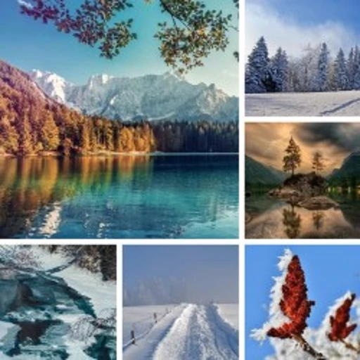 Fotos zu einer Collage zusammenfügen