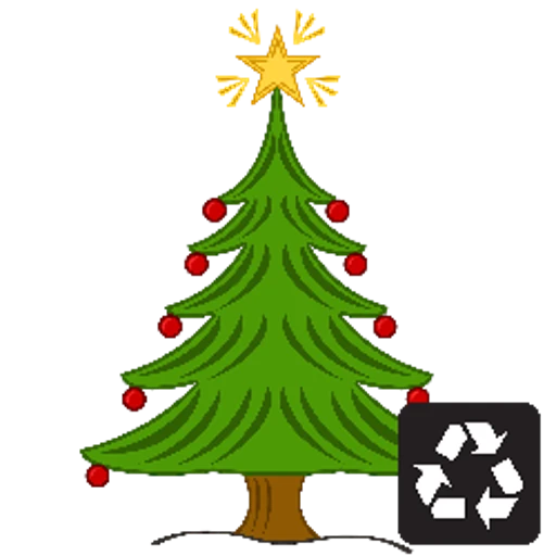 Weihnachtsbaum mieten und wieder einpflanzen